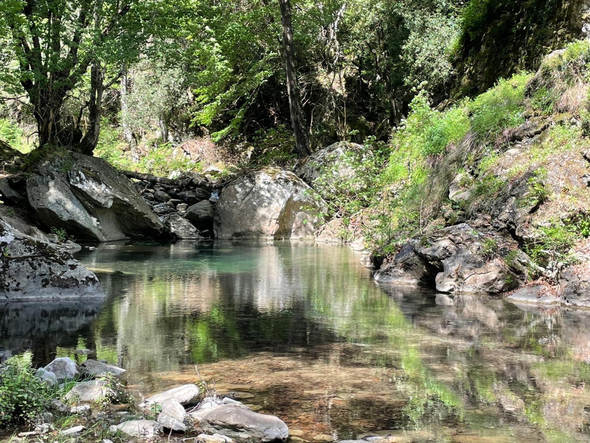 Corsica * Poggio Mezzana